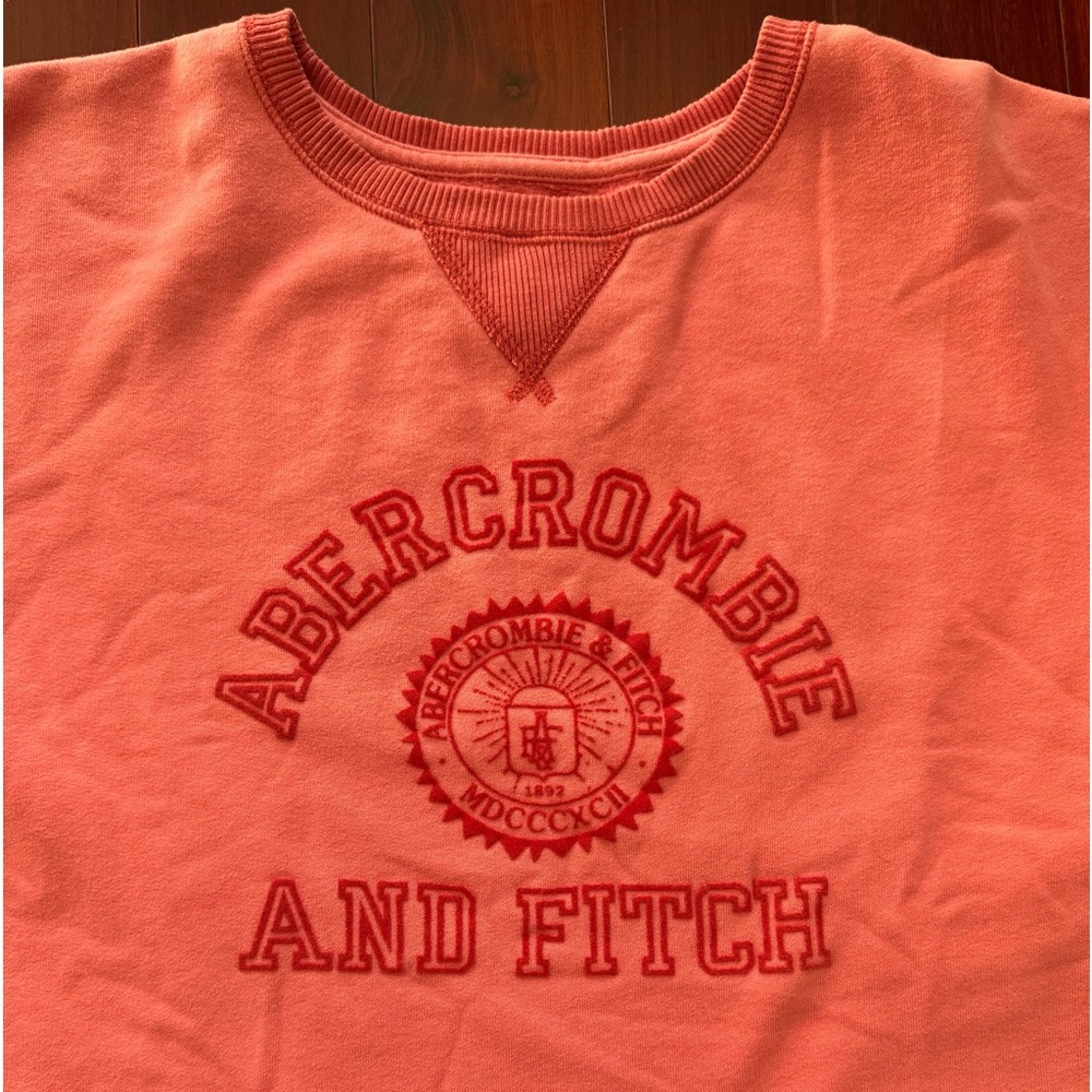 Abercrombie & Fitch Coral Crew Neck Sweater
